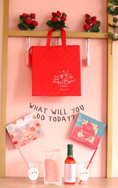 ボンボンピクニックBOX 2