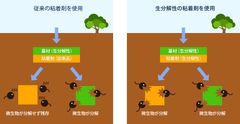 生分解性粘着剤の仕組み