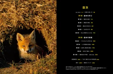 『プロの撮り方 完全マスター ベーシック』