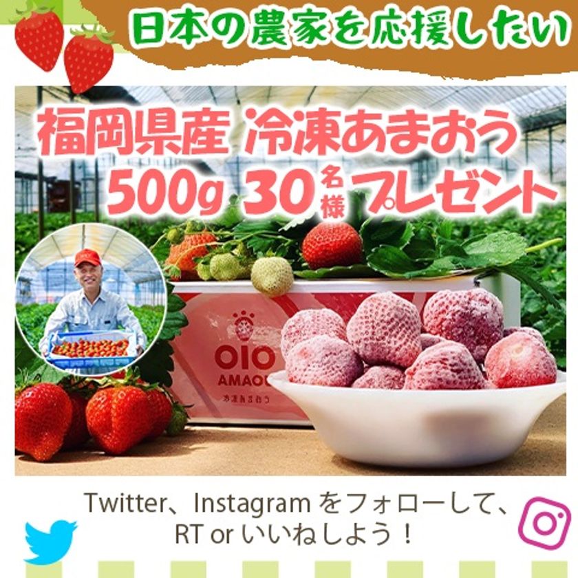 【中古】 みんなの食卓 珈琲物語/少年画報社 中古】 みんなの食卓 珈琲物語/少年画報社 その他