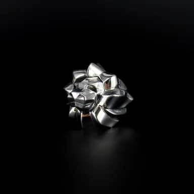 Richard Ring -リチャードリング-