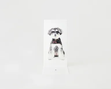 犬専用　等身大フォトブック「ONEBOOK」　4