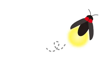 蛍