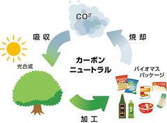 カーボンニュートラル　図解