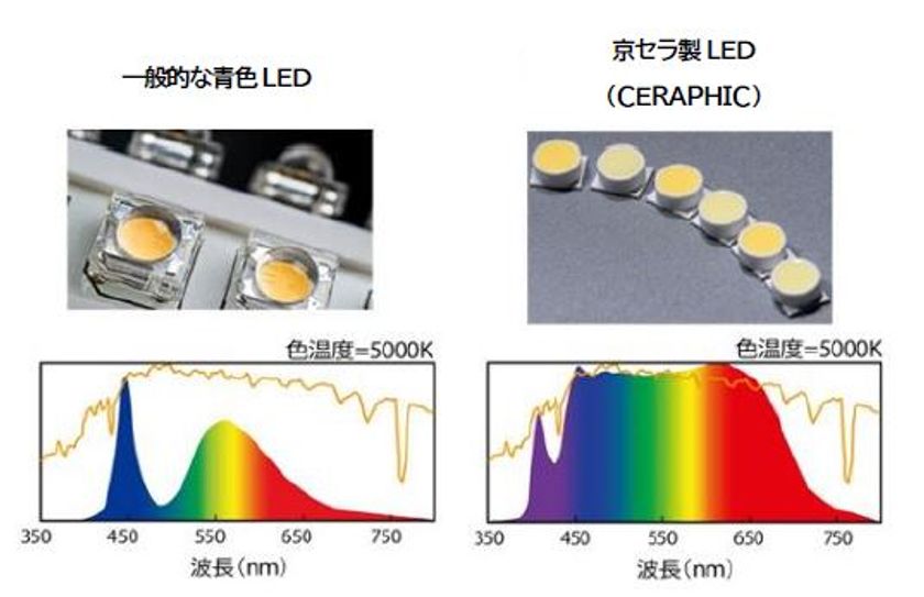 「人に優しいウェルネス照明」の開発について
京セラと奈良県立医科大学が実証実験を開始
