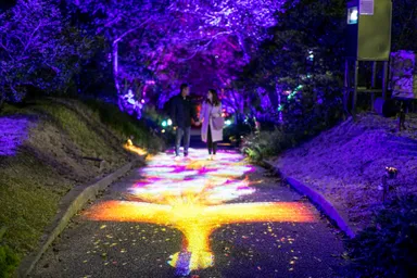 地面に現れる神秘的な火の鳥に感動