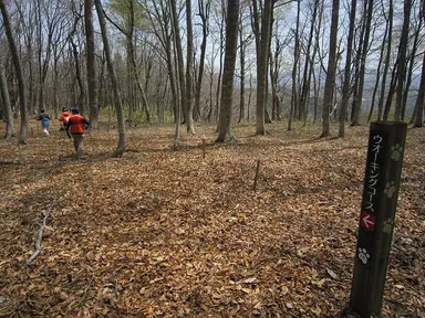 高原ウオーク イメージ画像