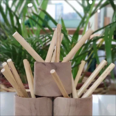 先着プレゼントのオリジナルバンブーボールペン