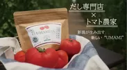 UMAMIだし トマト