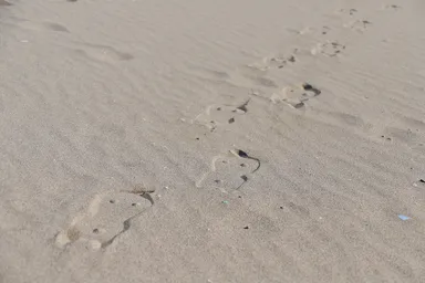 にゃらげたイメージ_06