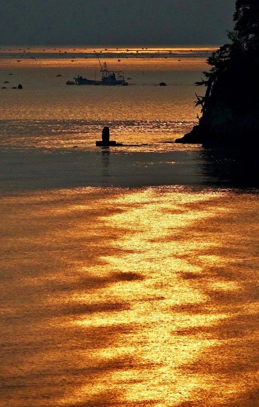 ～ 源義経ゆかりの鞍馬と岩手を涼風でむすぶ ～
「悠久の風～南部風鈴によせて～」を開催します