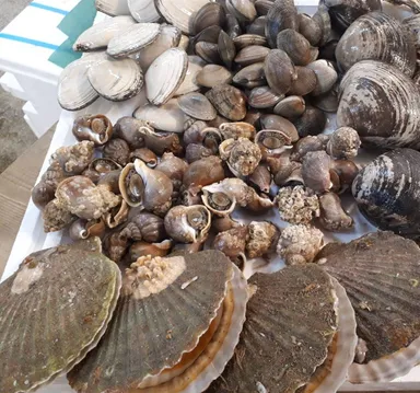 これだけ入って5,000円！