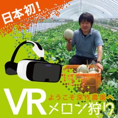 VRメロン狩り