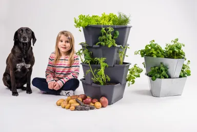 PAUL POTATO　トップバナー3