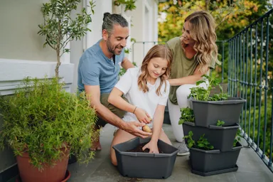 PAUL POTATO　イメージ