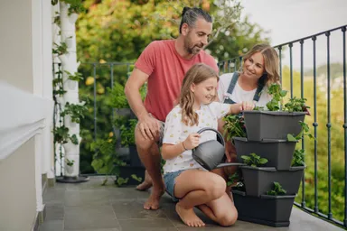 PAUL POTATO　イメージ2