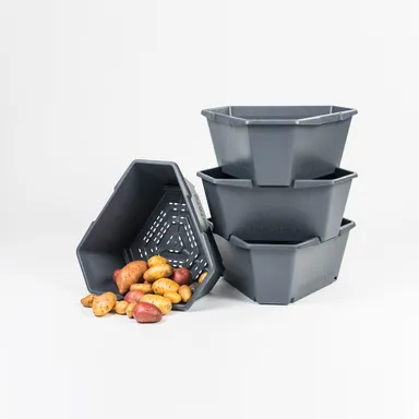 PAUL POTATO　底部