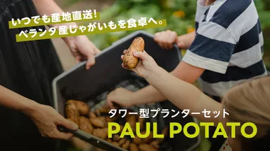 PAUL POTATO サムネイル(産地直送)