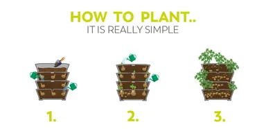 PAUL POTATO　使い方イメージ