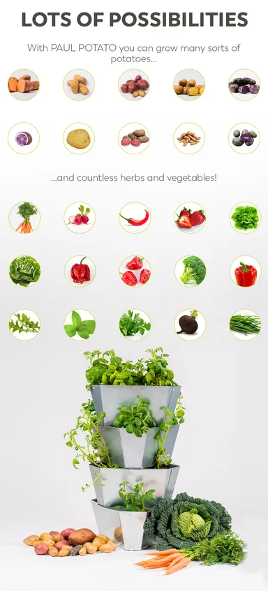 PAUL POTATO　作れるその他野菜