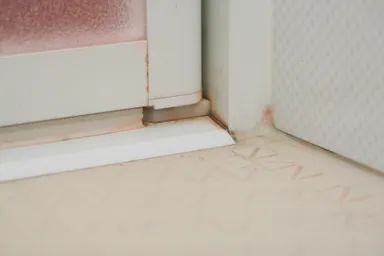 浴室のピンク汚れ