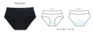 Regular(レギュラー)