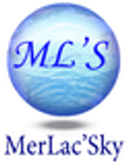 マラックスカイ株式会社のロゴ