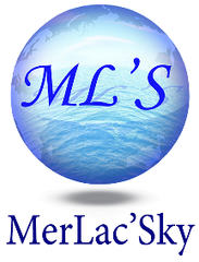 マラックスカイ株式会社