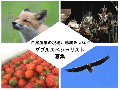 ダブルスペシャリスト