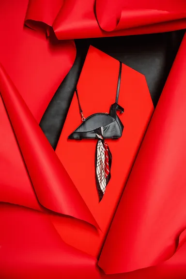 フラミンゴイメージ