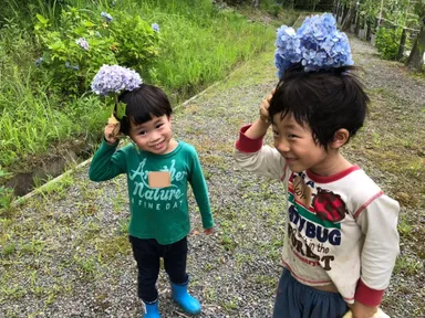 森を探検していろいろな発見をしよう！