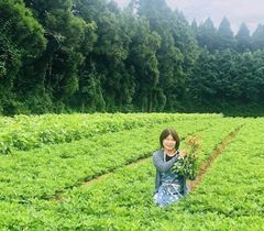 八街産「落花生」：ちばの美味しいセット