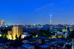 上層階はスカイツリービュー