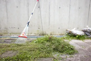 ゆる庭イメージ2