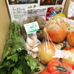 提供する野菜