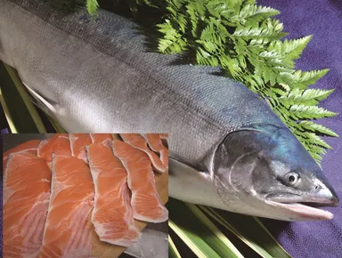 アツマル水産　定置物時知らず