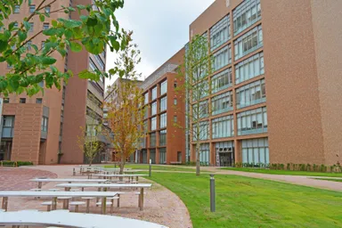 和洋女子大学　キャンパス内　3