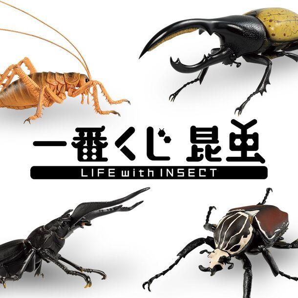 今年の夏は一番くじで虫取りしようぜ 世界最大サイズの昆虫がほぼ原寸フィギュアで新登場 株式会社bandai Spirits ロト イノベーション事業部のプレスリリース