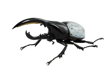 ラストワン賞：ヘラクレスリッキーブルーフィギュア(1)