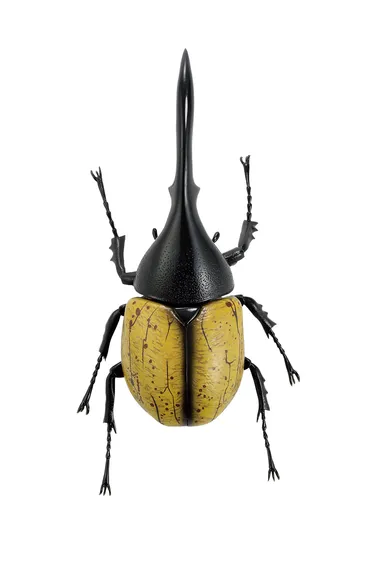 A賞：ヘラクレスオオカブトフィギュア(2)