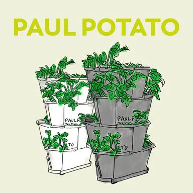 PAUL POTATOイラスト風