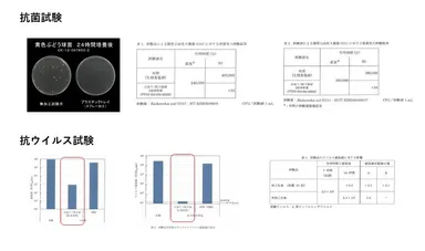 抗菌・抗ウイルス