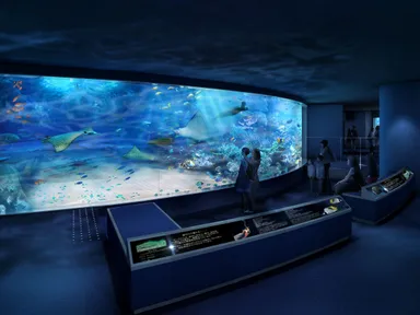 フラッグシップ水槽「サンシャインラグーン」