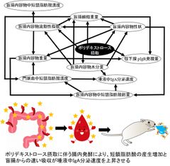 図：2