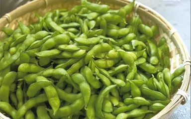 ［山形県鶴岡市特産］だだちゃ豆