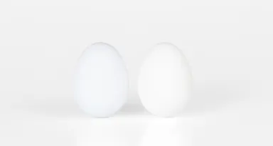 メントレたまご(2色)