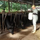 作物、家畜と一体の生活