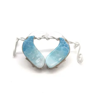 ラグーンチップ