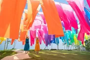 びわこ箱館山／高島ちぢみの織りなす虹のカーテン