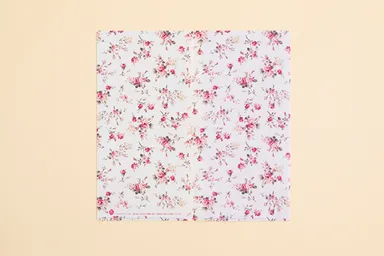 マスクケース見開きの様子